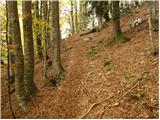 Stara Fužina - Planina Krstenica